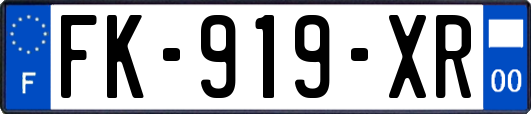 FK-919-XR