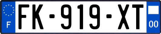FK-919-XT