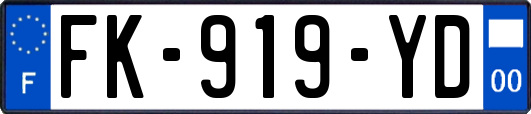 FK-919-YD