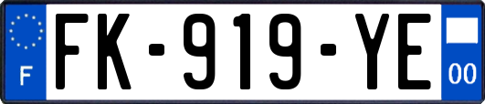 FK-919-YE