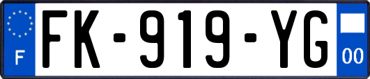 FK-919-YG
