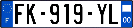 FK-919-YL