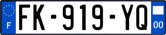 FK-919-YQ