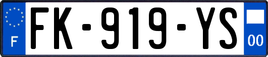 FK-919-YS