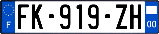 FK-919-ZH