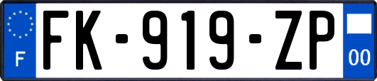 FK-919-ZP