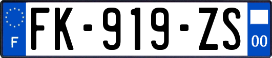 FK-919-ZS