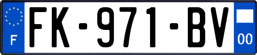 FK-971-BV