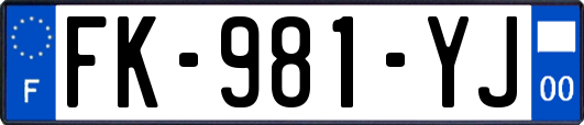 FK-981-YJ