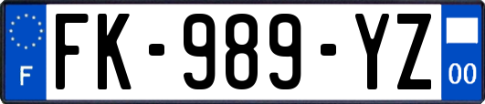 FK-989-YZ