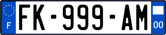 FK-999-AM