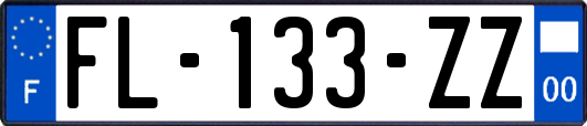 FL-133-ZZ