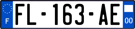 FL-163-AE