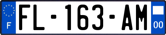 FL-163-AM