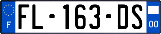 FL-163-DS