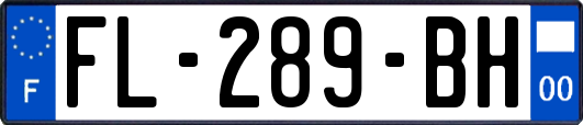 FL-289-BH