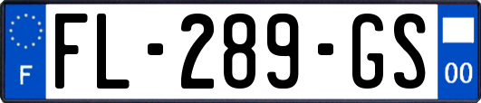 FL-289-GS