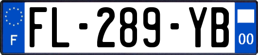 FL-289-YB