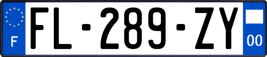 FL-289-ZY