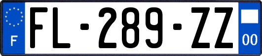 FL-289-ZZ