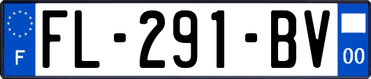 FL-291-BV