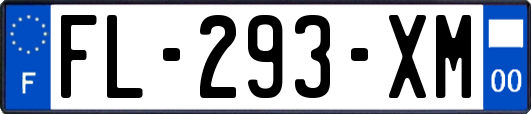 FL-293-XM