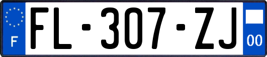 FL-307-ZJ