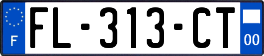 FL-313-CT