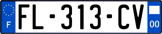 FL-313-CV