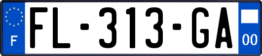 FL-313-GA