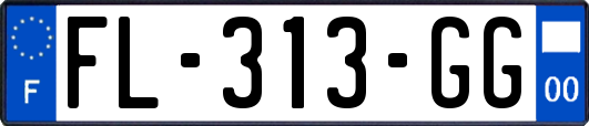 FL-313-GG