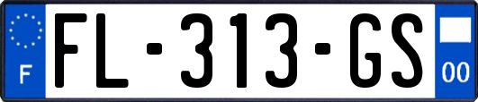 FL-313-GS