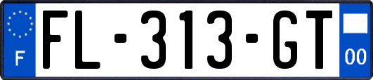 FL-313-GT