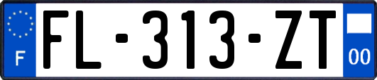 FL-313-ZT