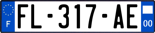 FL-317-AE