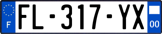 FL-317-YX
