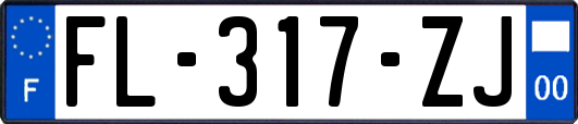 FL-317-ZJ