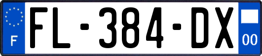 FL-384-DX