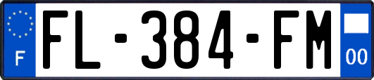 FL-384-FM