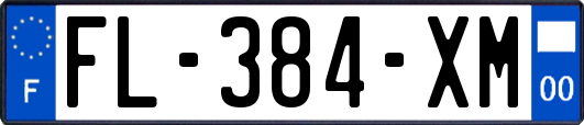 FL-384-XM