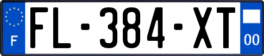 FL-384-XT