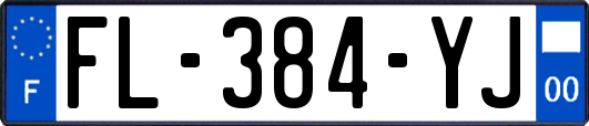 FL-384-YJ