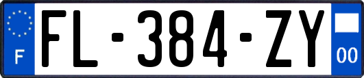 FL-384-ZY