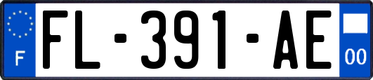 FL-391-AE