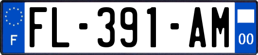 FL-391-AM