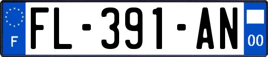 FL-391-AN