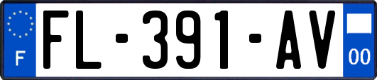 FL-391-AV