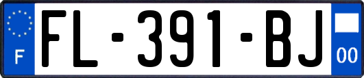FL-391-BJ