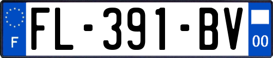 FL-391-BV