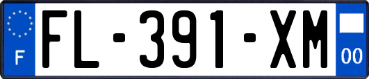 FL-391-XM